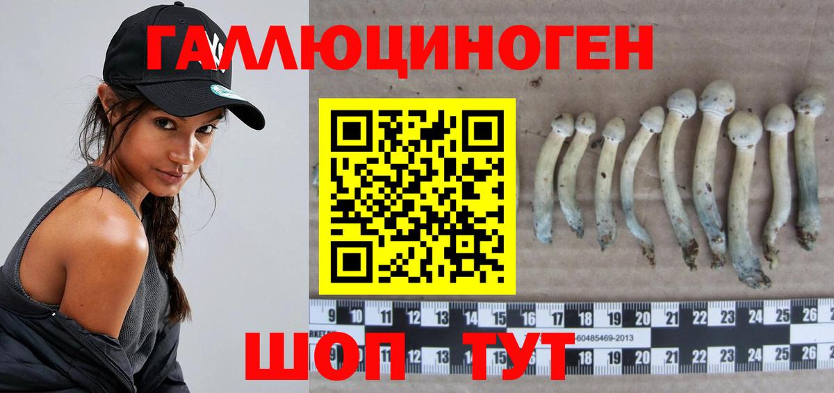 Псилоцибиновые грибы мицелий Советская Гавань
